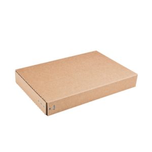 Packbox verzenddoos enkelgolf bruin